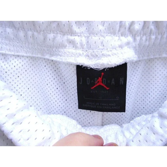 Nike Air Jordan #23 Jumpman Stars Basketball Mens Jersey (MED) & Shorts( Large) - Picture 6 of 15